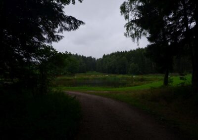Rund um Kleinwinklarn