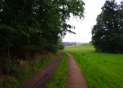 Rund um Kleinwinklarn