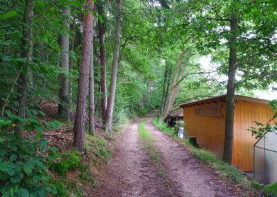 Rund um Kleinwinklarn