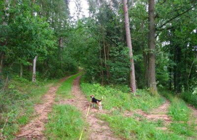Rund um Kleinwinklarn