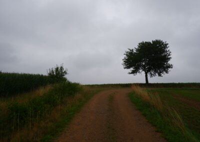 Rund um Kleinwinklarn