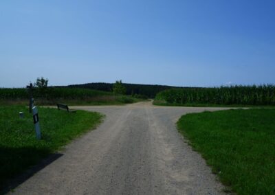 Von Kleinwinklarn auf den Steinbühl