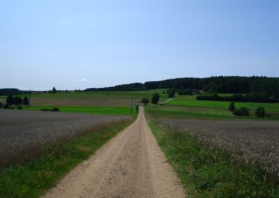 Von Kleinwinklarn auf den Steinbühl