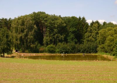 Von Kleinwinklarn auf den Steinbühl