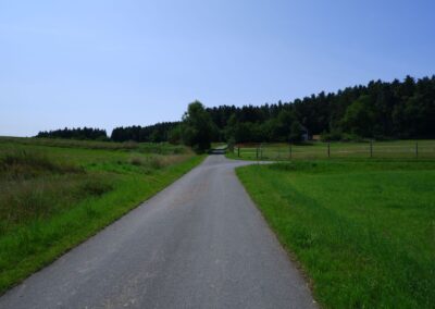 Von Kleinwinklarn auf den Steinbühl
