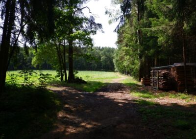 Von Kleinwinklarn auf den Steinbühl