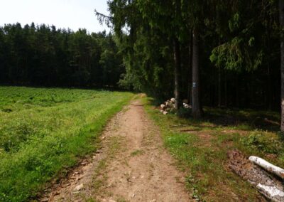 Von Kleinwinklarn auf den Steinbühl