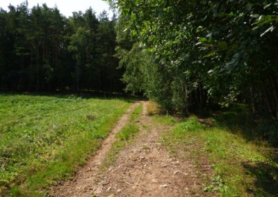 Von Kleinwinklarn auf den Steinbühl