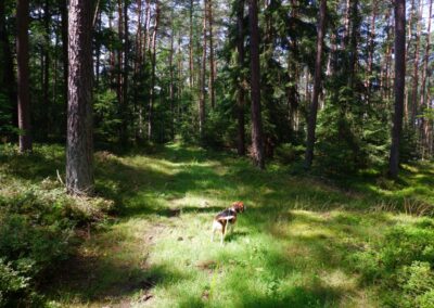 Von Kleinwinklarn auf den Steinbühl