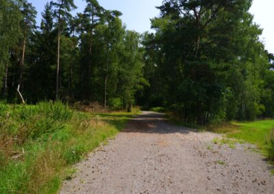Von Kleinwinklarn auf den Steinbühl
