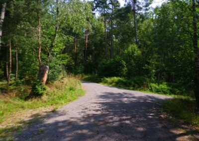 Von Kleinwinklarn auf den Steinbühl