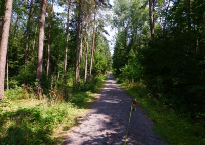 Von Kleinwinklarn auf den Steinbühl