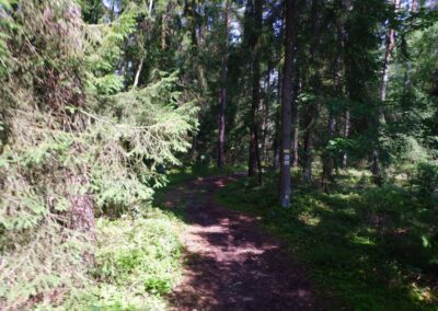 Von Kleinwinklarn auf den Steinbühl
