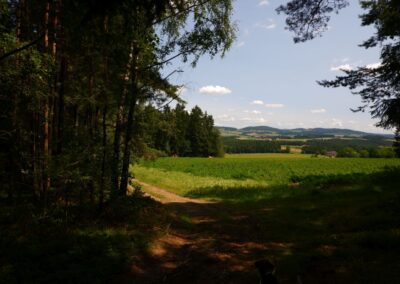 Von Kleinwinklarn auf den Steinbühl