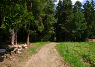 Von Kleinwinklarn auf den Steinbühl