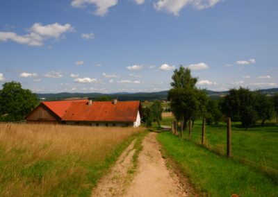 Von Kleinwinklarn auf den Steinbühl