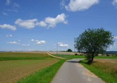 Von Kleinwinklarn auf den Steinbühl