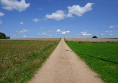 Von Kleinwinklarn auf den Steinbühl