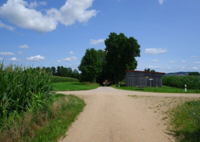 Von Kleinwinklarn auf den Steinbühl
