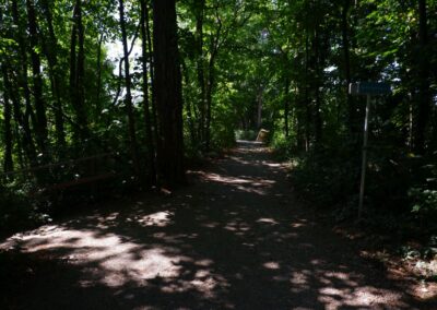 Auf dem Fischersteig durch die Erlaufschlucht