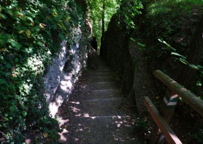 Auf dem Fischersteig durch die Erlaufschlucht