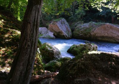 Auf dem Fischersteig durch die Erlaufschlucht