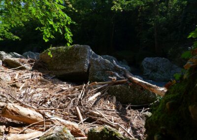 Auf dem Fischersteig durch die Erlaufschlucht