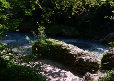 Auf dem Fischersteig durch die Erlaufschlucht