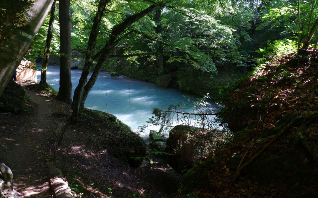 Auf dem Fischersteig durch die Erlaufschlucht