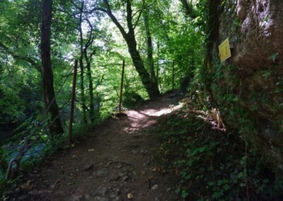 Auf dem Fischersteig durch die Erlaufschlucht