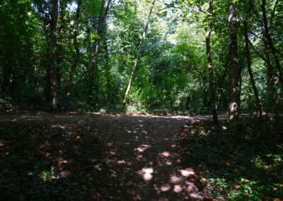 Auf dem Fischersteig durch die Erlaufschlucht
