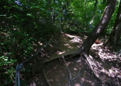 Auf dem Fischersteig durch die Erlaufschlucht