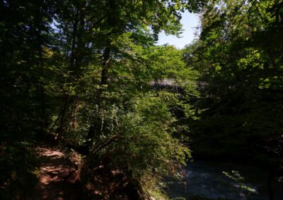 Auf dem Fischersteig durch die Erlaufschlucht