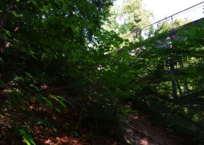 Auf dem Fischersteig durch die Erlaufschlucht
