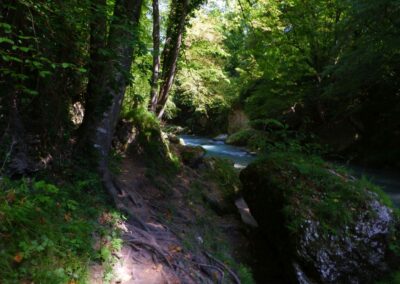 Auf dem Fischersteig durch die Erlaufschlucht