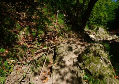 Auf dem Fischersteig durch die Erlaufschlucht