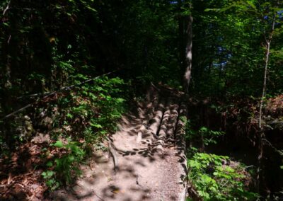 Auf dem Fischersteig durch die Erlaufschlucht