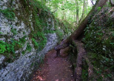 Auf dem Fischersteig durch die Erlaufschlucht