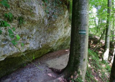 Auf dem Fischersteig durch die Erlaufschlucht