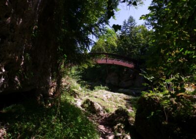 Auf dem Fischersteig durch die Erlaufschlucht