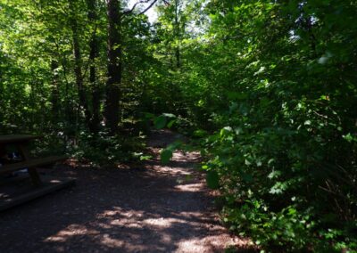 Auf dem Fischersteig durch die Erlaufschlucht