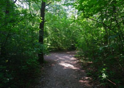 Auf dem Fischersteig durch die Erlaufschlucht