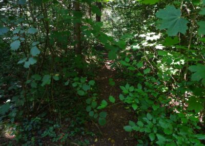 Auf dem Fischersteig durch die Erlaufschlucht