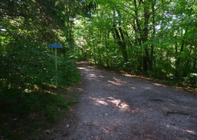 Auf dem Fischersteig durch die Erlaufschlucht