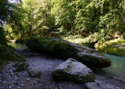 Auf dem Fischersteig durch die Erlaufschlucht