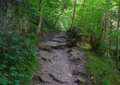 Auf dem Fischersteig durch die Erlaufschlucht
