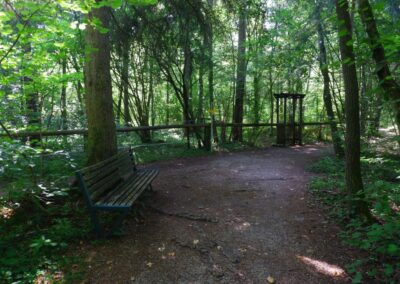 Auf dem Fischersteig durch die Erlaufschlucht