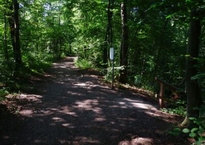 Auf dem Fischersteig durch die Erlaufschlucht