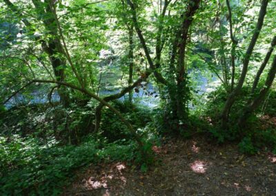 Bewegungsarena Purgstall an der Erlauf - Laufrunde 1 - "Kleine Praterrunde"