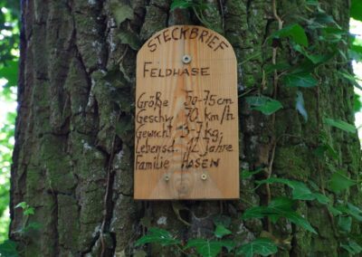 Bewegungsarena Purgstall an der Erlauf - Laufrunde 1 - "Kleine Praterrunde"